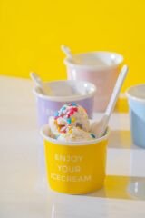 Acar KAL-07466/12 Blush 4 lü Dondurma Kase Seti - 200 Ml